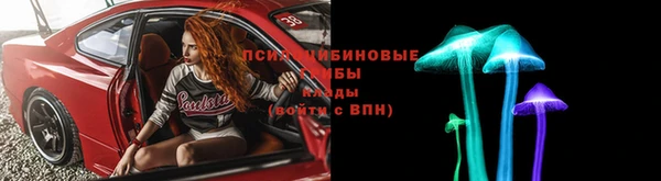 молекула духа Алексин
