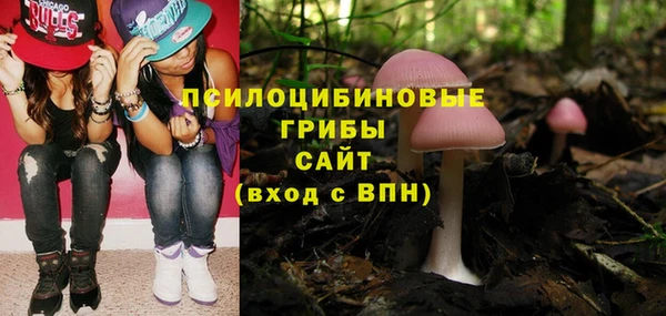 молекула духа Алексин